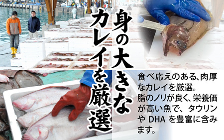 【訳あり】越前カレイのたっぷり酒粕漬け [A-160001] / カレイ