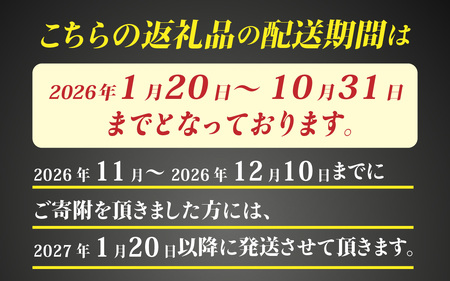 すぐに食べられる　欧風オトナのオードブル（1～２人用）[A-090008] / 国産牛 牛肉 肉 鶏肉 惣菜 冷凍 コンビーフ 若狭牛 和牛 鰆 サワラ さわら オードブル 盛り合わせ パーティー お惣菜 自家製 コンフィ ラタトゥイユ つまみ おかず 福井県 福井市