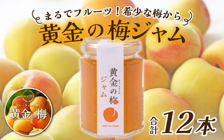 まるでフルーツ！希少な梅から「黄金の梅ジャム」12本 [D-178001] / 加工品 調味料 ジャム 季節ジャム パン ジャムティー ヨーグルト 料理 手造り 詰合せ