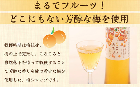 まるでフルーツ！希少な梅から「ころころかをり梅シロップ」20本 [I-178003] / 梅 うめ シロップ 加工品 調味料 ジャム 季節ジャム パン ジャムティー ヨーグルト 料理 手造り