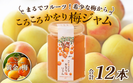 まるでフルーツ！希少な梅から「ころころかをり梅ジャム」12本 [D-178004] / 梅 うめ 加工品 調味料 ジャム 季節ジャム パン ジャムティー ヨーグルト 料理 手造り