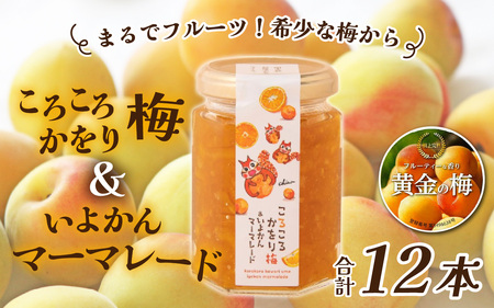 まるでフルーツ！希少な梅から「ころころかをり梅＆いよかんマーマレード」12本 [D-178005] / 梅 うめ いよかん マーマレード 加工品 調味料 ジャム 季節ジャム パン ジャムティー ヨーグルト 料理 手造り