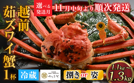[捌き済選択可][到着日指定可]蟹好きにおすすめ！老舗カニ専門店の「越前ずわいがに」特大(1.1kg～1.3Kg)【11月中旬より順次発送】 [O-085019]