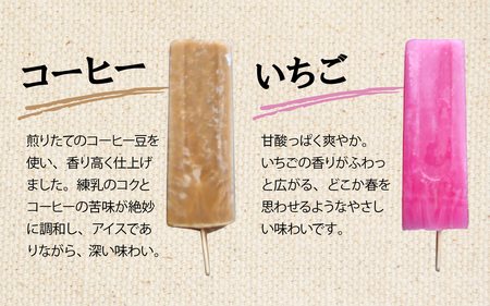昭和生まれの手作りアイスキャンディ（合計10本）[A-184002] / アイス