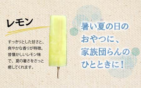 昭和生まれの手作りアイスキャンディ（合計10本）[A-184002] / アイス