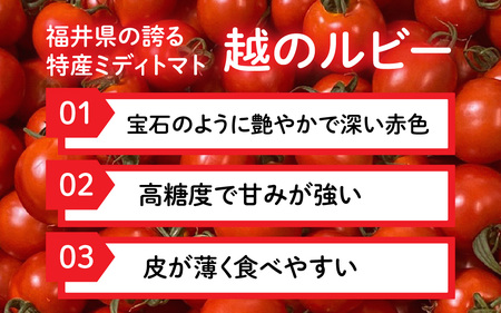 【先行予約】甘くて皮が薄く食べやすい　福井市産ミディトマト『越のルビー』1kg以上【2026年6月上旬より順次発送予定】 [A-180002]/ トマト