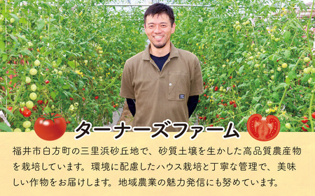 【先行予約】甘くて皮が薄く食べやすい　福井市産ミディトマト『越のルビー』1kg以上【2026年6月上旬より順次発送予定】 [A-180002]/ トマト