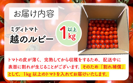 【先行予約】甘くて皮が薄く食べやすい　福井市産ミディトマト『越のルビー』1kg以上【2026年6月上旬より順次発送予定】 [A-180002]/ トマト