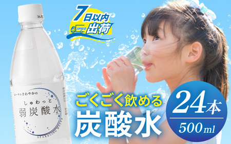 しゅわっと弱炭酸水 [A-030026] / 炭酸 炭酸水 水 微炭酸 24本 1ケース 500ml ペットボトル 飲料水 みず 北陸 飲料 無糖 軟水 ダイエット 福井県 福井市 ウォーター ローヤルさわやか