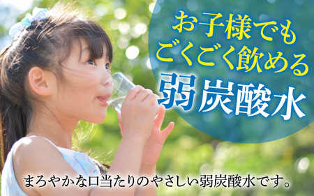 しゅわっと弱炭酸水 [A-030026] / 炭酸 炭酸水 水 微炭酸 24本 1ケース 500ml ペットボトル 飲料水 みず 北陸 飲料 無糖 軟水 ダイエット 福井県 福井市 ウォーター ローヤルさわやか