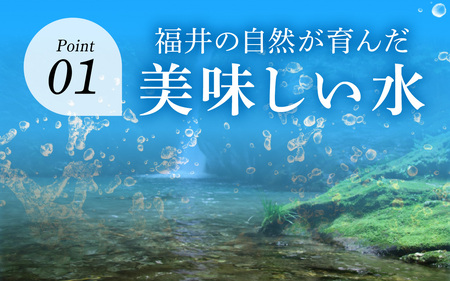 しゅわっと弱炭酸水 [A-030026] / 炭酸 炭酸水 水 微炭酸 24本 1ケース 500ml ペットボトル 飲料水 みず 北陸 飲料 無糖 軟水 ダイエット 福井県 福井市 ウォーター ローヤルさわやか