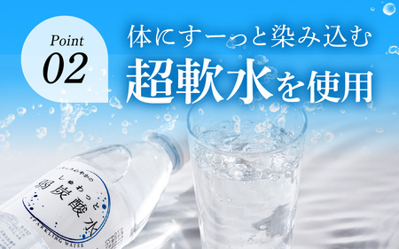 しゅわっと弱炭酸水 [A-030026] / 炭酸 炭酸水 水 微炭酸 24本 1ケース 500ml ペットボトル 飲料水 みず 北陸 飲料 無糖 軟水 ダイエット 福井県 福井市 ウォーター ローヤルさわやか