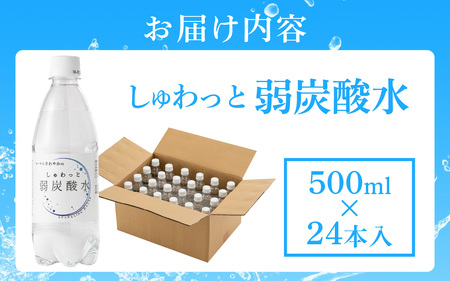 しゅわっと弱炭酸水 [A-030026] / 炭酸 炭酸水 水 微炭酸 24本 1ケース 500ml ペットボトル 飲料水 みず 北陸 飲料 無糖 軟水 ダイエット 福井県 福井市 ウォーター ローヤルさわやか