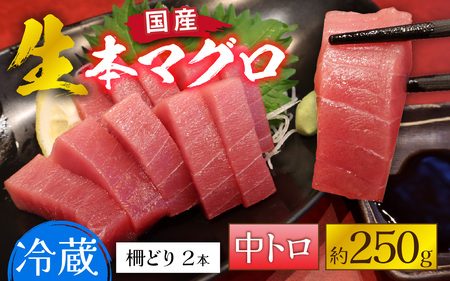 【冷蔵・指定日着可】生本マグロ中トロ 約250g 2～3人前 [A-066005] / 国産 まぐろ 鮪 さく 柵どり 冷蔵 真空パック ヘルシー 2人前 3人前 新鮮 刺身 丼