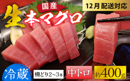【冷蔵・指定日着可】生本マグロ中トロ 約400g 3～4人前 [B-066006] / 国産 まぐろ 鮪 さく 柵どり 冷蔵 真空パック ヘルシー 4人前 3人前 新鮮 刺身 丼 9,125円