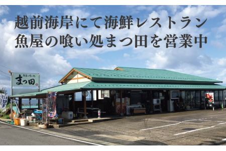 越前産 ほたるいか 素干し 50gｘ3パック [A-007003]