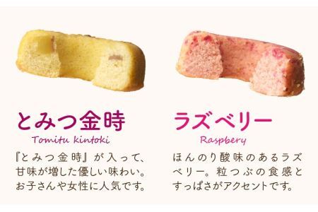 福井産六条大麦焼きドーナツセット（5種類×2 計10個） [A-034001] 