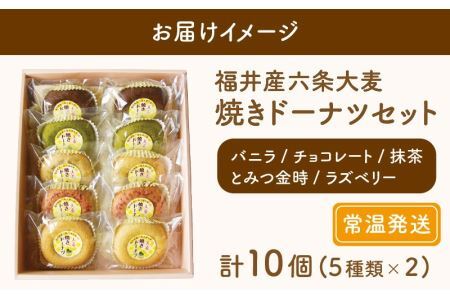 福井産六条大麦焼きドーナツセット（5種類×2 計10個） [A-034001] 