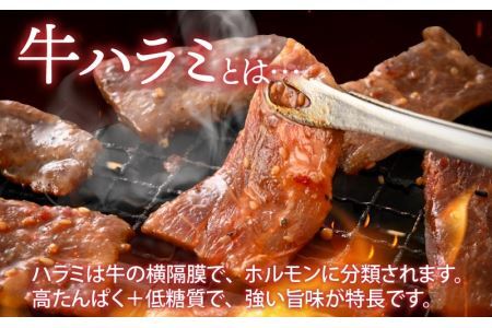 牛肉ハラミ 1.0kg 小分け タレ漬け 味付き BBQ [A-015005]