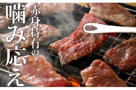 福井県産若狭牛 赤身焼肉 300g [A-015010]
