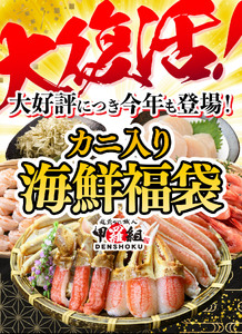 敦賀の豪華 海鮮福袋 8種【カニ むきえび ホタテ 魚介 詰め合わせ 】[024-e201]