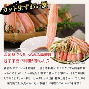 敦賀の豪華 海鮮福袋 8種【カニ むきえび ホタテ 魚介 詰め合わせ 】[024-e201]