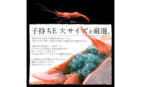 福井県敦賀産甘えび・子持ちE大サイズ約500g(約30尾)【 塩荘 しおそう 敦賀 甘エビ えび エビ 海老 冷凍 急速冷凍 】[053-a028]
