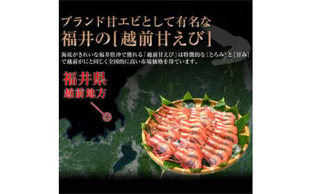 [001-a021] 福井県産 越前子持ち甘えび 500g【 増米 ますよね 敦賀 甘エビ えび エビ 海老 冷凍 急速冷凍 】