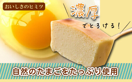 [037-a003_A] スイーツ たまごやさんの チーズケーキ（小）と たまごプリン 5個セット【自家製自然卵 濃厚チーズケーキ デザート NYチーズケーキ】