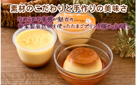 [037-a003_A] スイーツ たまごやさんの チーズケーキ（小）と たまごプリン 5個セット【自家製自然卵 濃厚チーズケーキ デザート NYチーズケーキ】