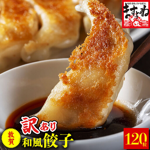 [001-a014] 【訳あり】 肉汁溢れる！敦賀和風肉餃子 120個入り！【敦賀 増米 ますよね ぎょうざ ギョウザ 冷凍 総菜 惣菜 点心 焼くだけ 簡単 訳アリ お取り寄せ】