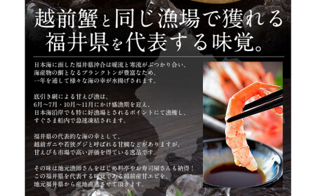 福井県敦賀産 甘えび・子持ち中サイズ約1kg(約80尾)【 塩荘 しおそう 敦賀 甘エビ えび エビ 海老 冷凍 急速冷凍 】[053-a025]