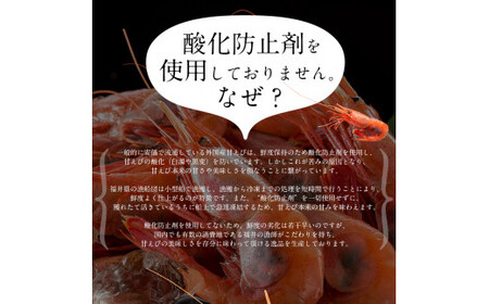福井県敦賀産 甘えび・子持ち中サイズ約1kg(約80尾)【 塩荘 しおそう 敦賀 甘エビ えび エビ 海老 冷凍 急速冷凍 】[053-a025]