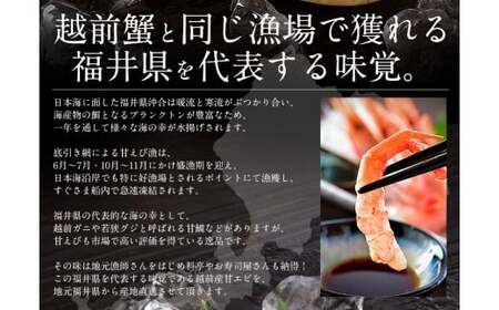 福井県敦賀産 甘えび・子持ち中サイズ約500g(約40尾)【 塩荘 しおそう 敦賀 甘エビ えび エビ 海老 冷凍 急速冷凍 】[053-a026]