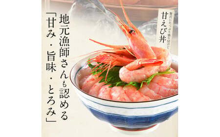 福井県敦賀産 甘えび・子持ち中サイズ約500g(約40尾)【 塩荘 しおそう 敦賀 甘エビ えび エビ 海老 冷凍 急速冷凍 】[053-a026]