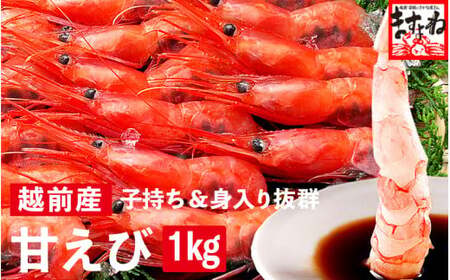 福井県産 越前子持ち甘えび 500g× 2パック（計1kg)【 増米 ますよね 敦賀 甘エビ えび エビ 海老 冷凍 急速冷凍 】[001-a022]
