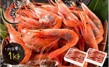 福井県敦賀産 甘えび・子持ちE大サイズ約1kg(約60尾)【 塩荘 しおそう 敦賀 甘エビ えび エビ 海老 冷凍 急速冷凍 】[053-a027_A(20)]