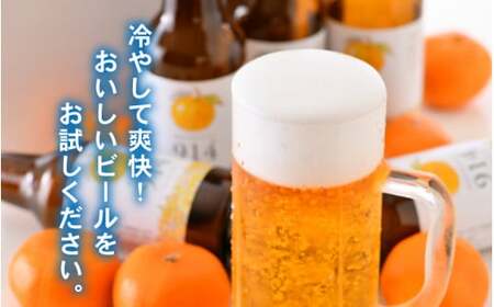 敦賀東浦みかん「914」ビール 310ml × 12本【福井県 敦賀産 東浦みかん】[022-b001]