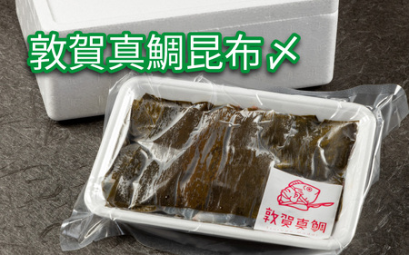 敦賀真鯛 昆布〆（鯛身 約350g）[041-a008]