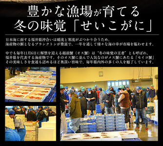 1度で4度楽しめる セイコ蟹甲羅盛り 約70g × 3個 セット【冷凍】【敦賀 塩荘 しおそう 越前ガニ えちぜん蟹 せいこ セコ カニみそ 贈答 ギフト お歳暮 のし対応】[053-a006]