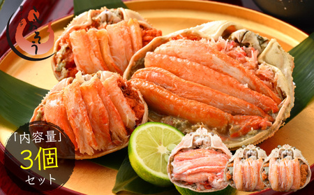 ズワイ甲羅盛り（1個）とセイコ蟹甲羅盛り（2個）セット【敦賀 塩荘 しおそう ずわいがに ズワイガニ せいこ セコ カニみそ 贈答 ギフト お歳暮 のし対応 セット】[053-a034]
