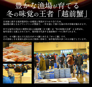 ズワイ甲羅盛り（1個）とセイコ蟹甲羅盛り（2個）セット【敦賀 塩荘 しおそう ずわいがに ズワイガニ せいこ セコ カニみそ 贈答 ギフト お歳暮 のし対応 セット】[053-a034]