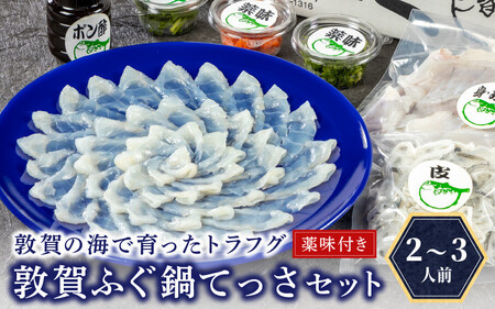 フグ 敦賀ふぐ鍋てっさ セット（2〜3人前）【冷蔵 海鮮 てっちり てっさ 刺身 トラフグ ふぐ 河豚 鍋 なべ】[041-c007]