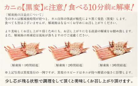 【12月25日～12月31日着】カット済ズワイ蟹ハーフポーション1.2kg（400g × 3箱）[053-b009]【人気のカニ 蟹ポーション しおそう ずわい蟹 ずわいガニ ズワイガニ 蟹 カニ かに 生 しゃぶしゃぶ カニしゃぶ 海鮮 ふるさと納税】