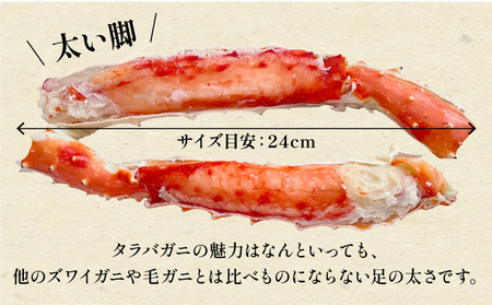 【1月発送】カット済み ボイルたらばがに足 (内容量800g / 総重量1kg) 1箱【甲羅組 蟹 カニ 魚介類 魚貝類】[024-b026]