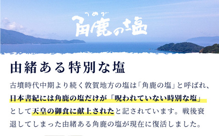 角鹿の塩  2点セット（塩）【敦賀 塩 しお 粗塩 天然塩 天日塩 釜炊き 調味料 ミネラル お中元 お歳暮 ギフト 贈り物 プレゼント】[080-b202] 