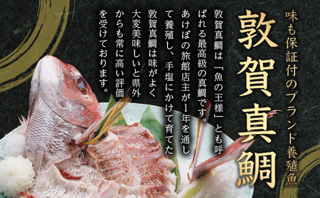 敦賀真鯛の酢漬け 85g[041-a011] 