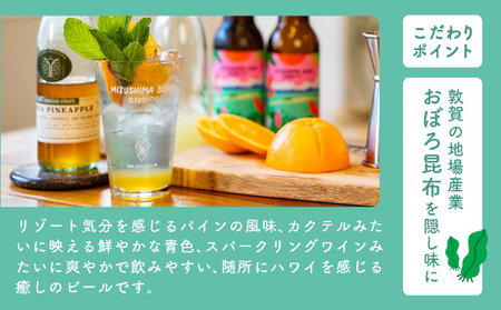 クラフトビール MIZUSHIMA BLUE 北陸のハワイ 3本セット【ビール クラフト お酒 発泡酒 お中元 お歳暮 ギフト 贈り物 プレゼント】[046-a001]