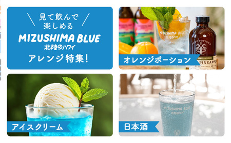 クラフトビール MIZUSHIMA BLUE 北陸のハワイ 3本セット【ビール クラフト お酒 発泡酒 お中元 お歳暮 ギフト 贈り物 プレゼント】[046-a001]