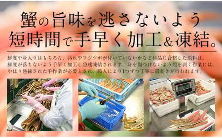 [053-c004] カット済ズワイ蟹 ハーフポーション 1.8kg (600g × 3箱)【しおそう ずわい蟹 ずわいガニ ズワイガニ 蟹 カニ かに 生 しゃぶしゃぶ カニしゃぶ】